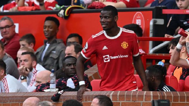 91久久精品国产免费一区