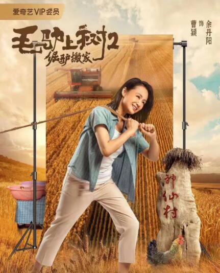 毛片手机在线视频免费观看