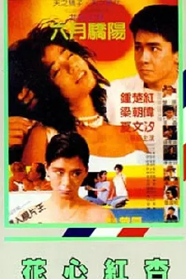 亚洲不卡视频