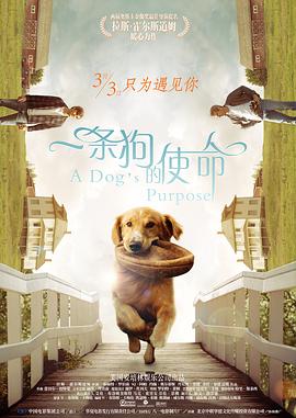 综合久久99
