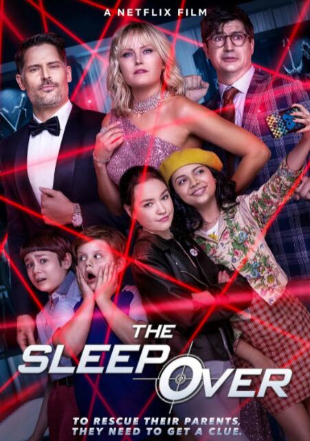 交换吉娃娃