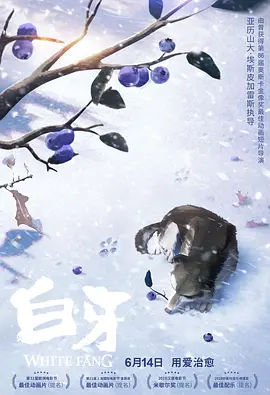 福利网红精品免费高清