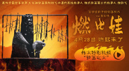 中文字幕在线观看免费视频