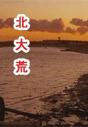 亚洲狼论坛