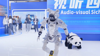 国产成年网站v片在线观看